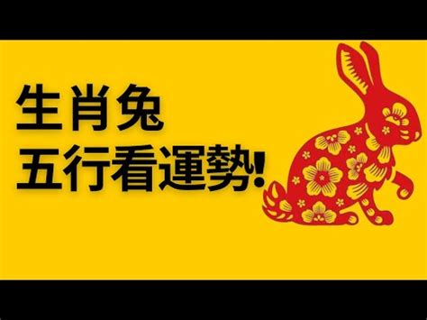 生肖屬兔 五行|【屬兔生肖及五行】屬兔五行屬什么生肖兔五行喜忌查。